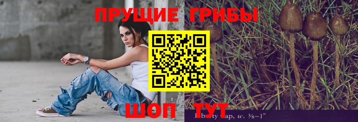 Галлюциногенные грибы ЛСД Камышлов