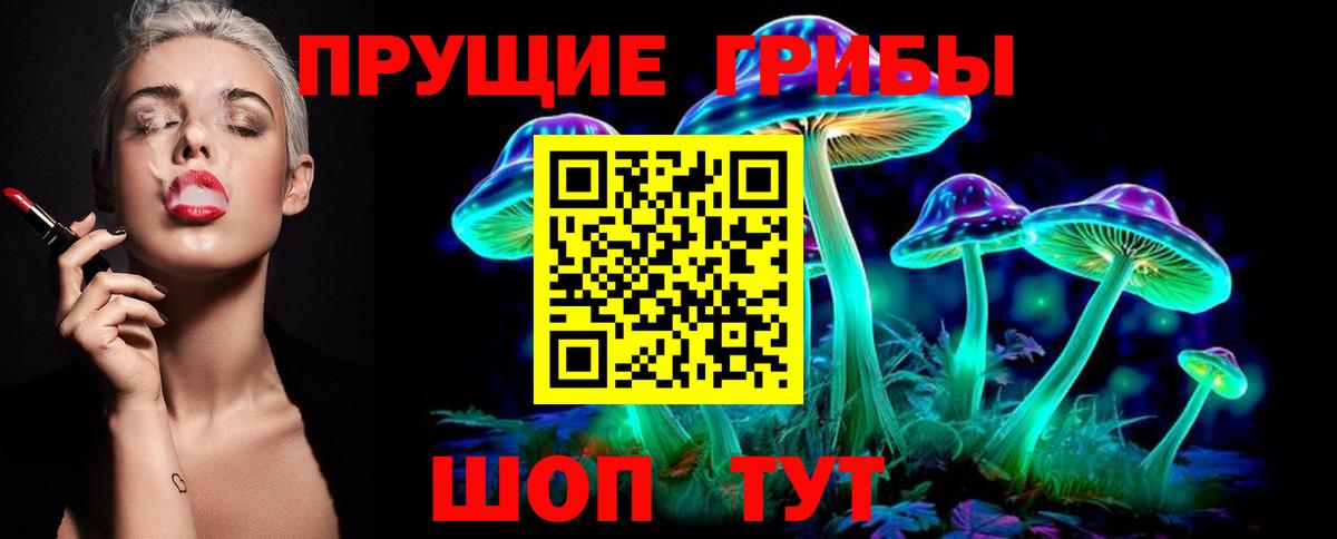 Камышлов  Галлюциногенные грибы Psilocybe  наркотики  Вход с VPN 