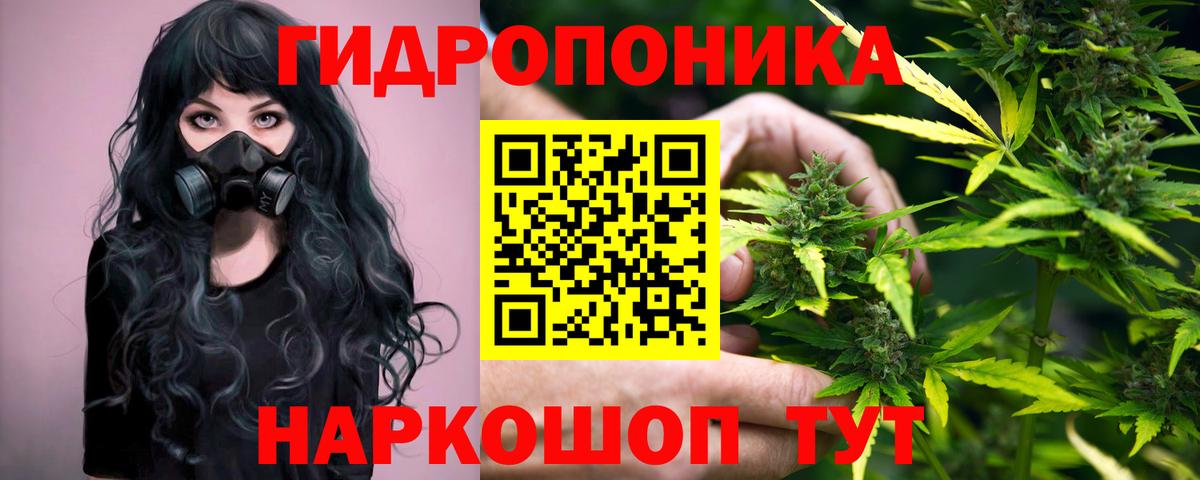 Бошки марихуана гибрид Камышлов